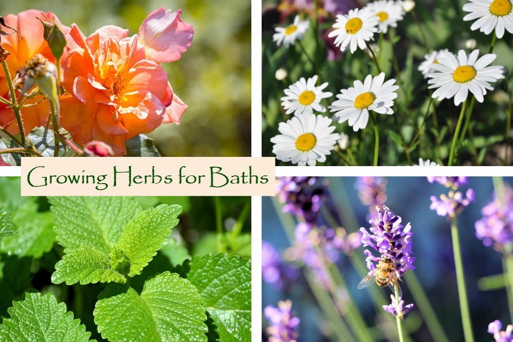 Sparkling Lavender Bath Salts Bath Salt Recipe Beauty Crafter