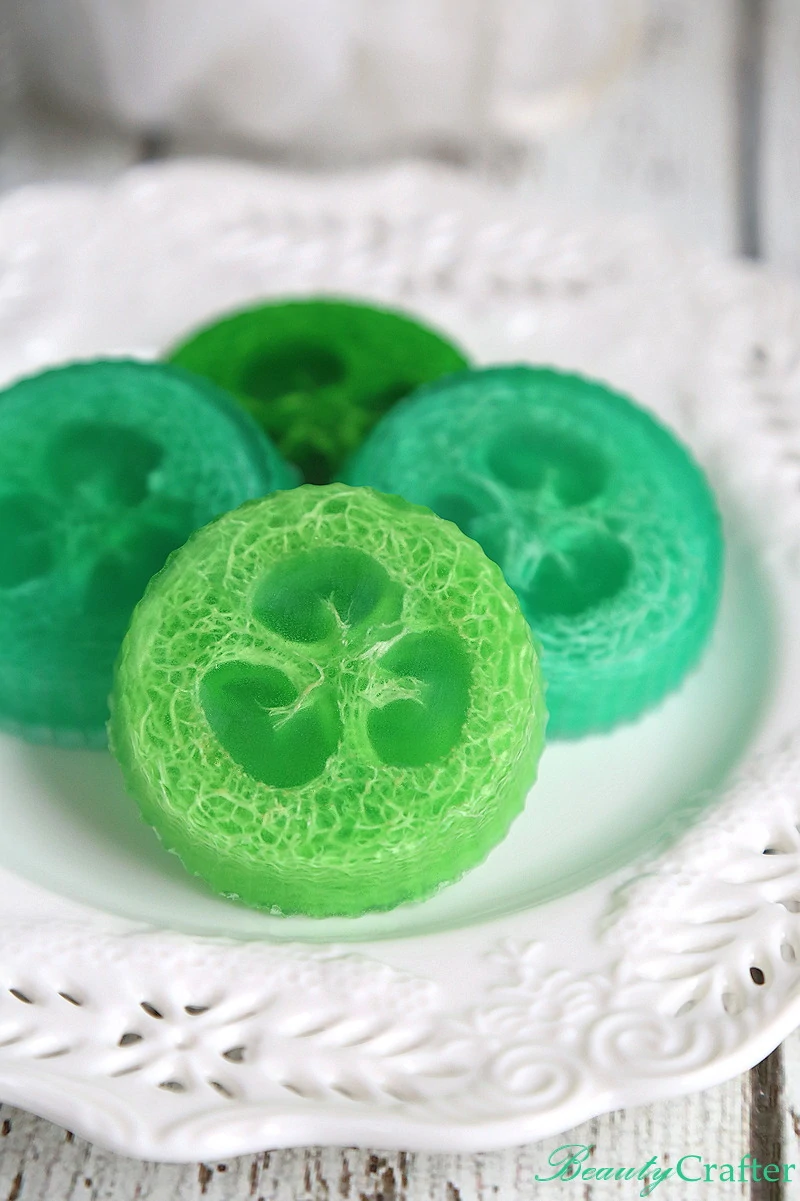 Luffa soap diy soofah