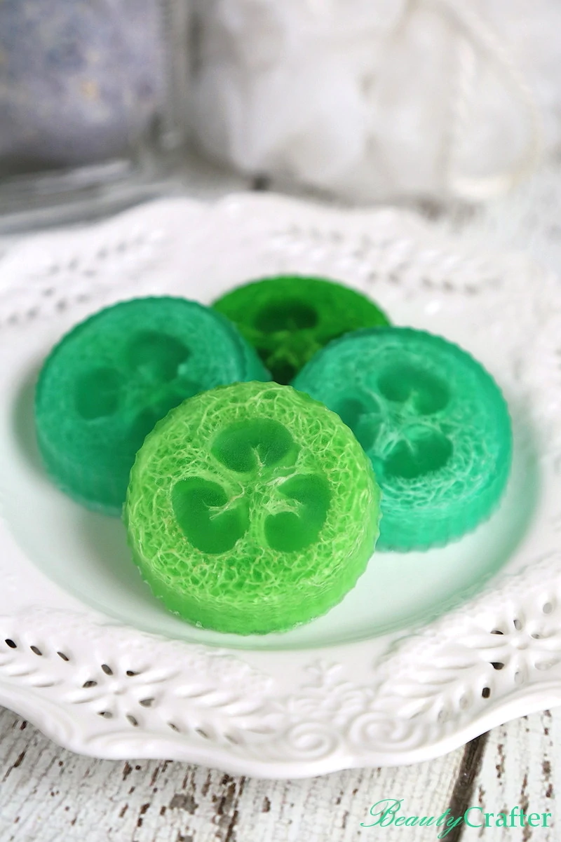  Recette de savon de Luffa BRICOLAGE pour exfolier les peaux mortes 