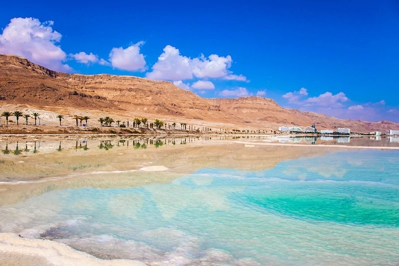 The Dead Sea