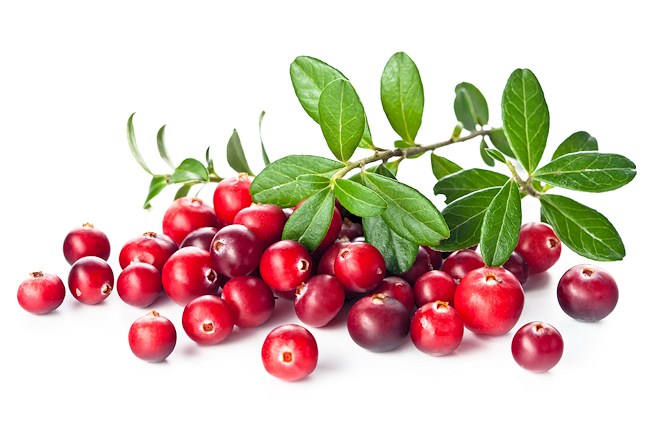 cranberry skin benefits