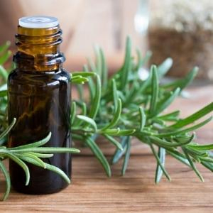 rosemary oil