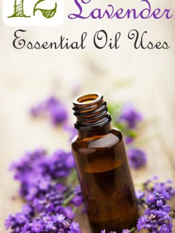 12 Lavender Essential Oil Uses