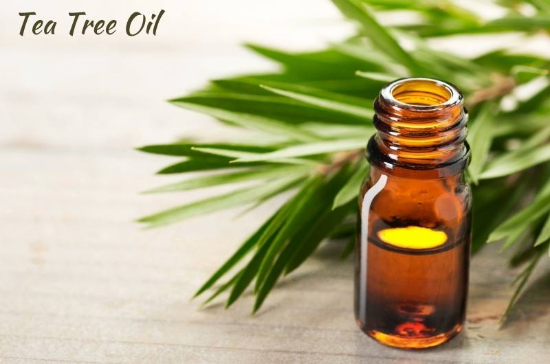 The 6 Best Tea Tree Oils