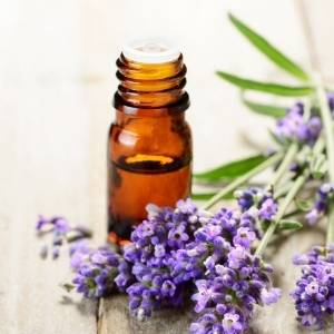 lavender essential oil