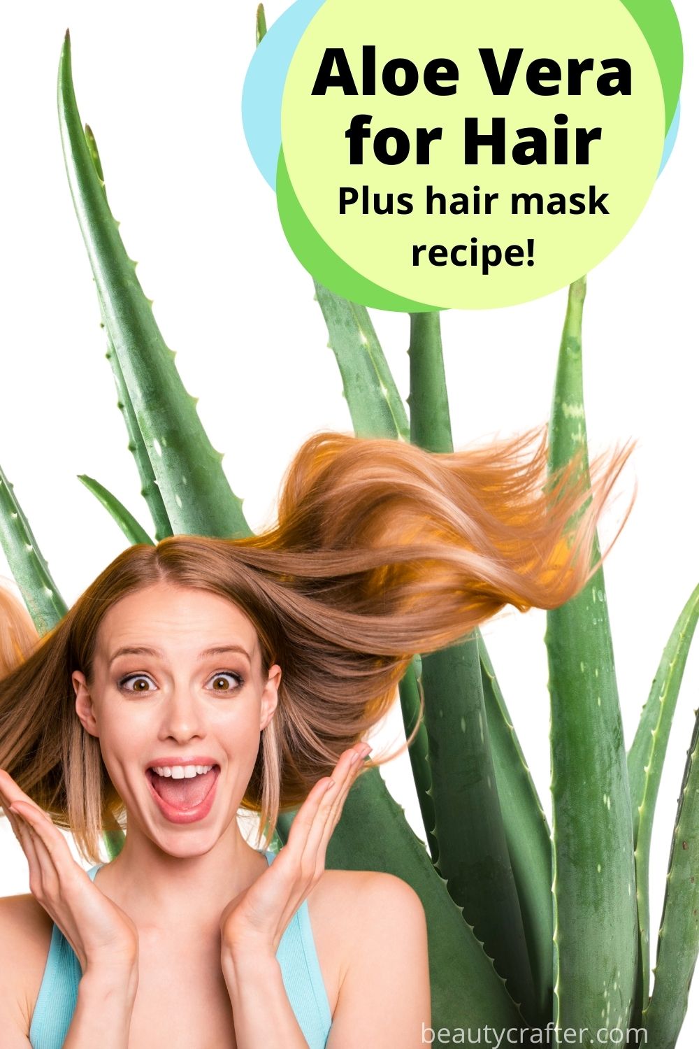 Aloe Vera for Hair and Scalp + Hair Mask Recipe - Beauty Crafter