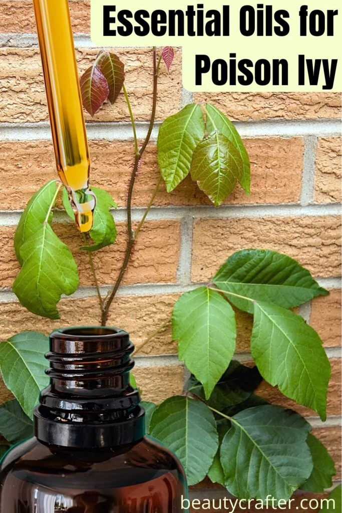 essential oils for poison ivy with plant and oil bottle.