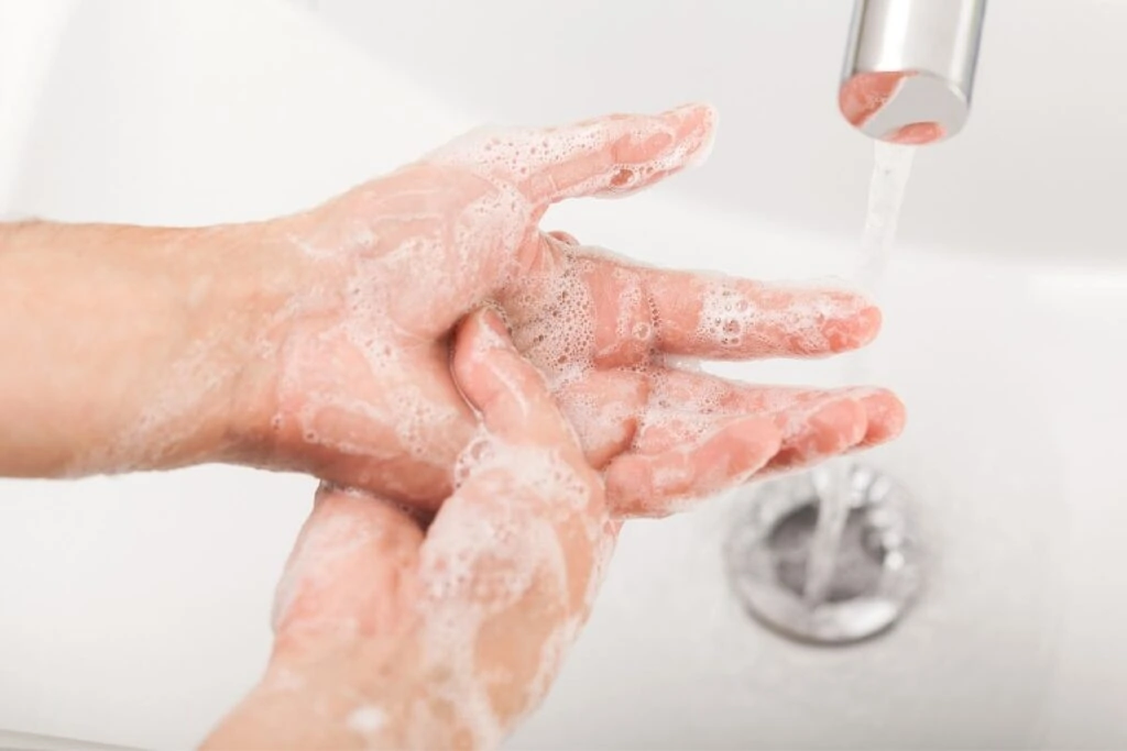 washing hands with cool water and soap after poison ivy exposure.