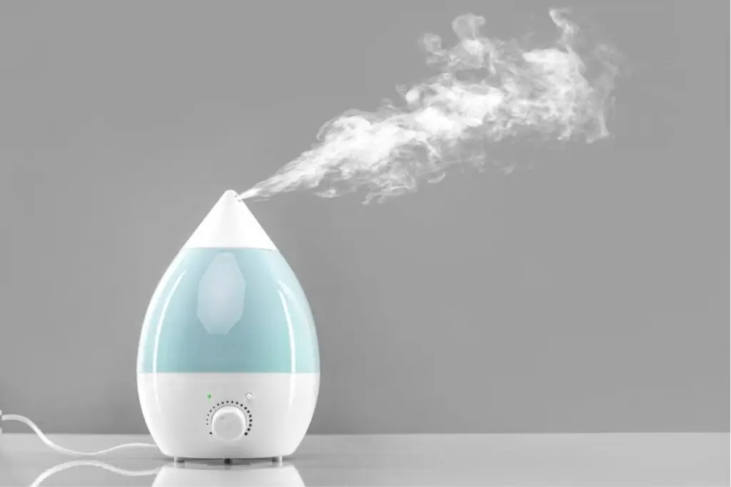 humidifier to keep lips from drying out