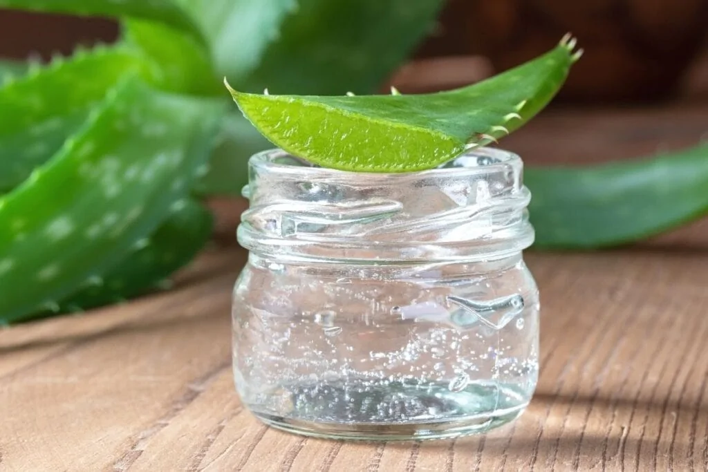 aloe vera gel for moisturizing hands